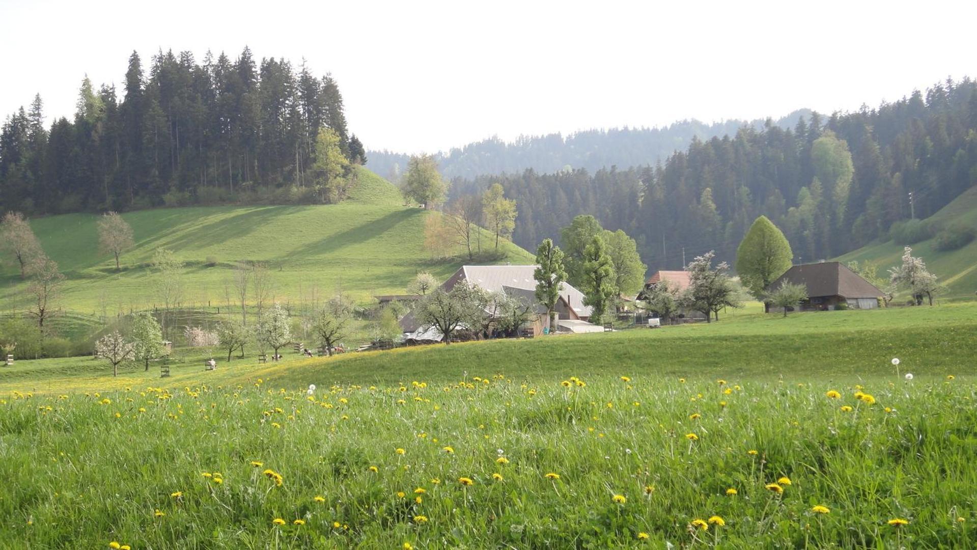 Landgasthof-Hotel Adler Лангнау Екстер'єр фото